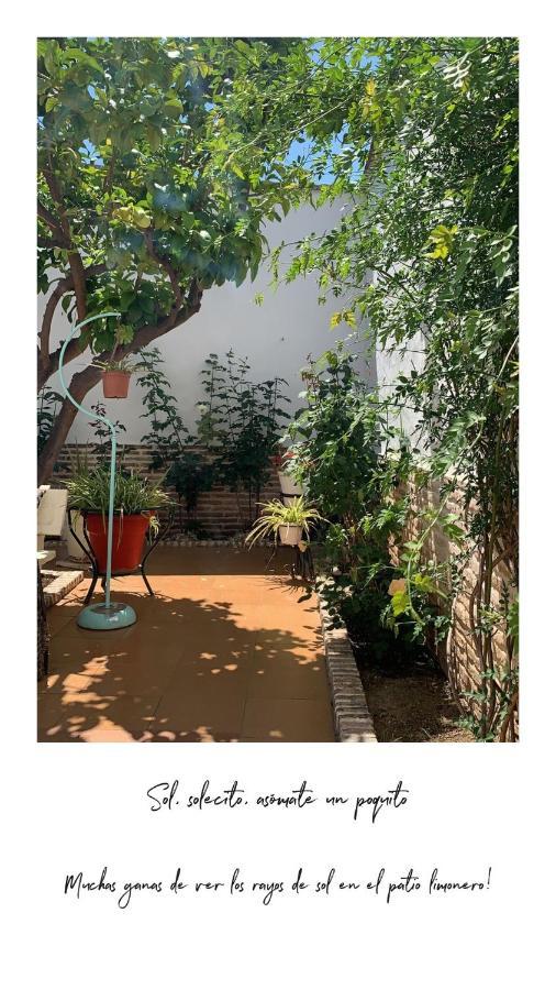 Ferienhaus El Patio Del Limonero *