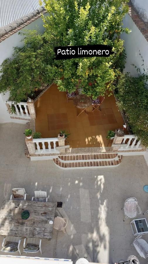 El Patio Del Limonero